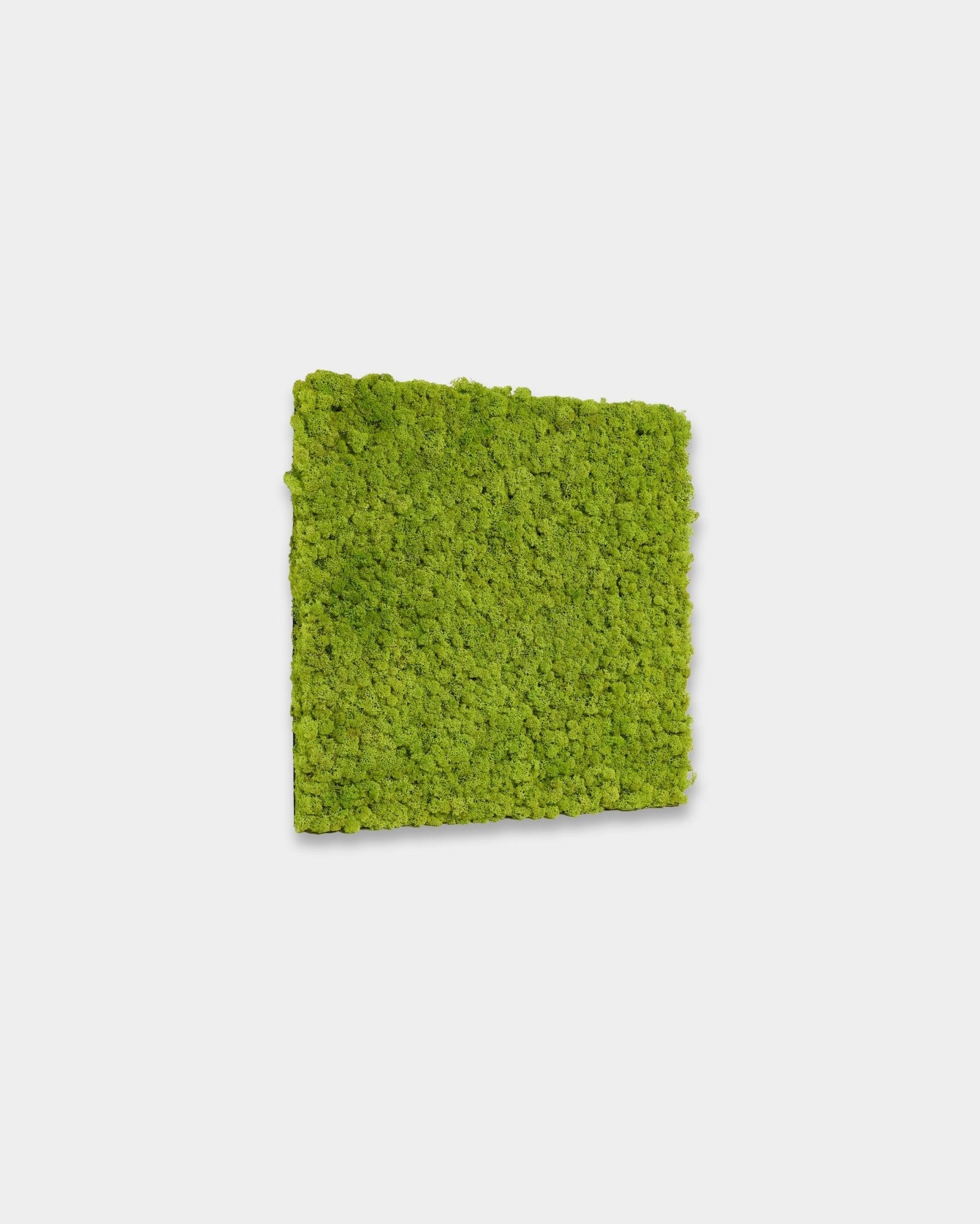 WoodUpp Akupixel Pannello acustico in Apple Green, 60 x 60 cm Misura, presenta doghe verde intenso su uno sfondo bianco semplice.