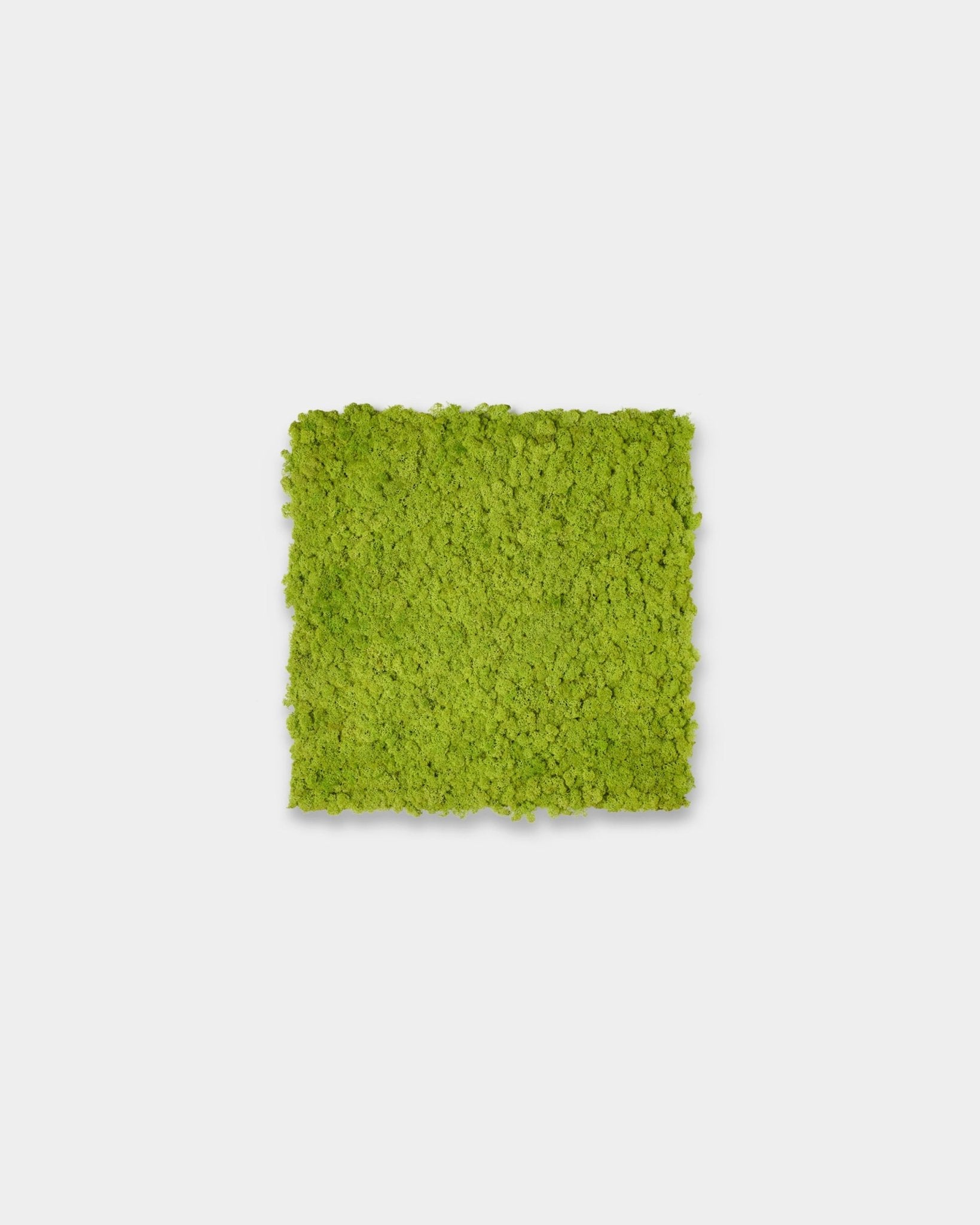 Akupixel Pannello acustico in Apple Green, 60x60 cm, di WoodUpp esposto come accento quadrato su uno sfondo grigio chiaro uniforme.