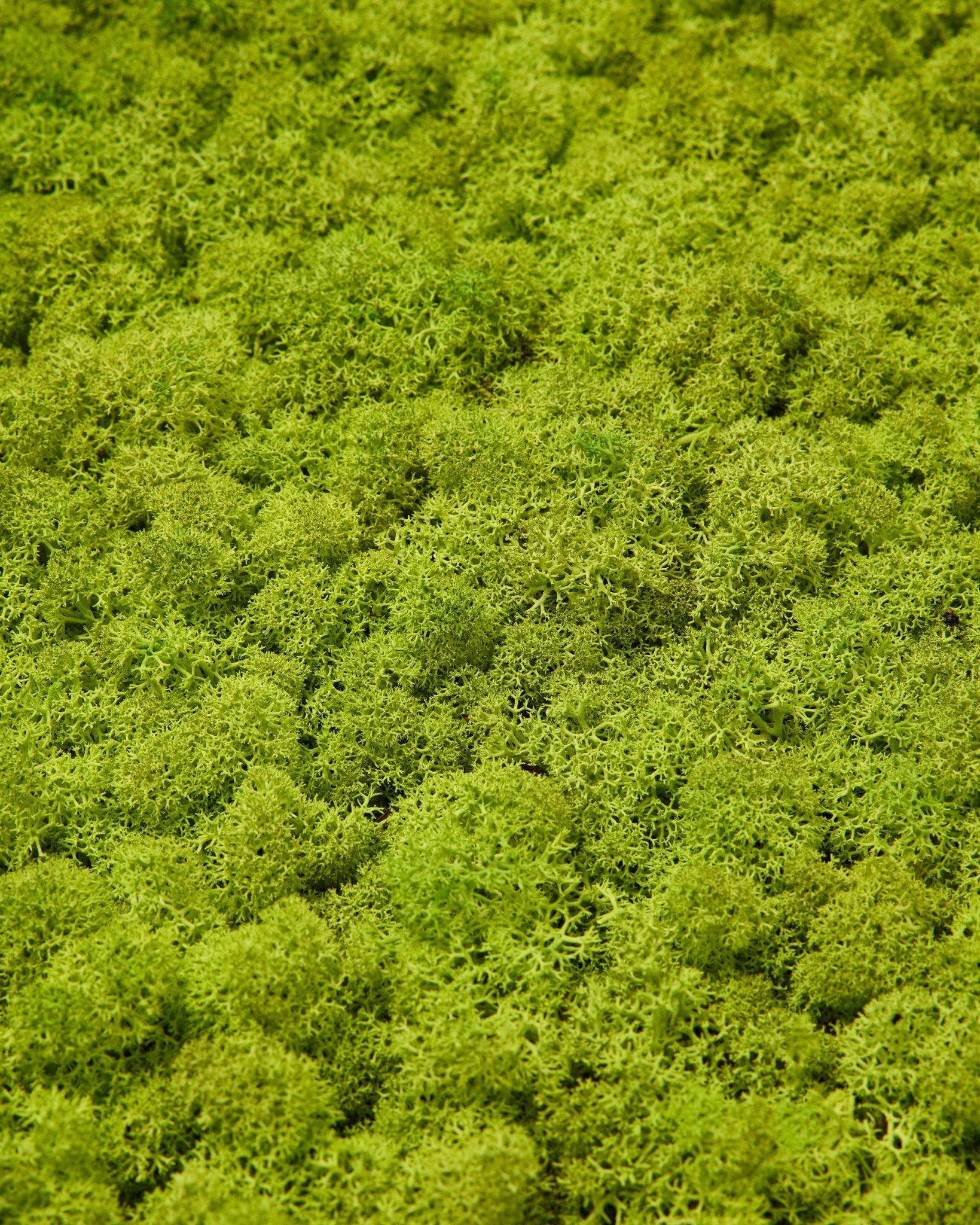Primo piano di WoodUpp Akupixel Pannello acustico in Apple Green moss, 60x60 cm, con una superficie moss densa e materica per un look nordico naturale.