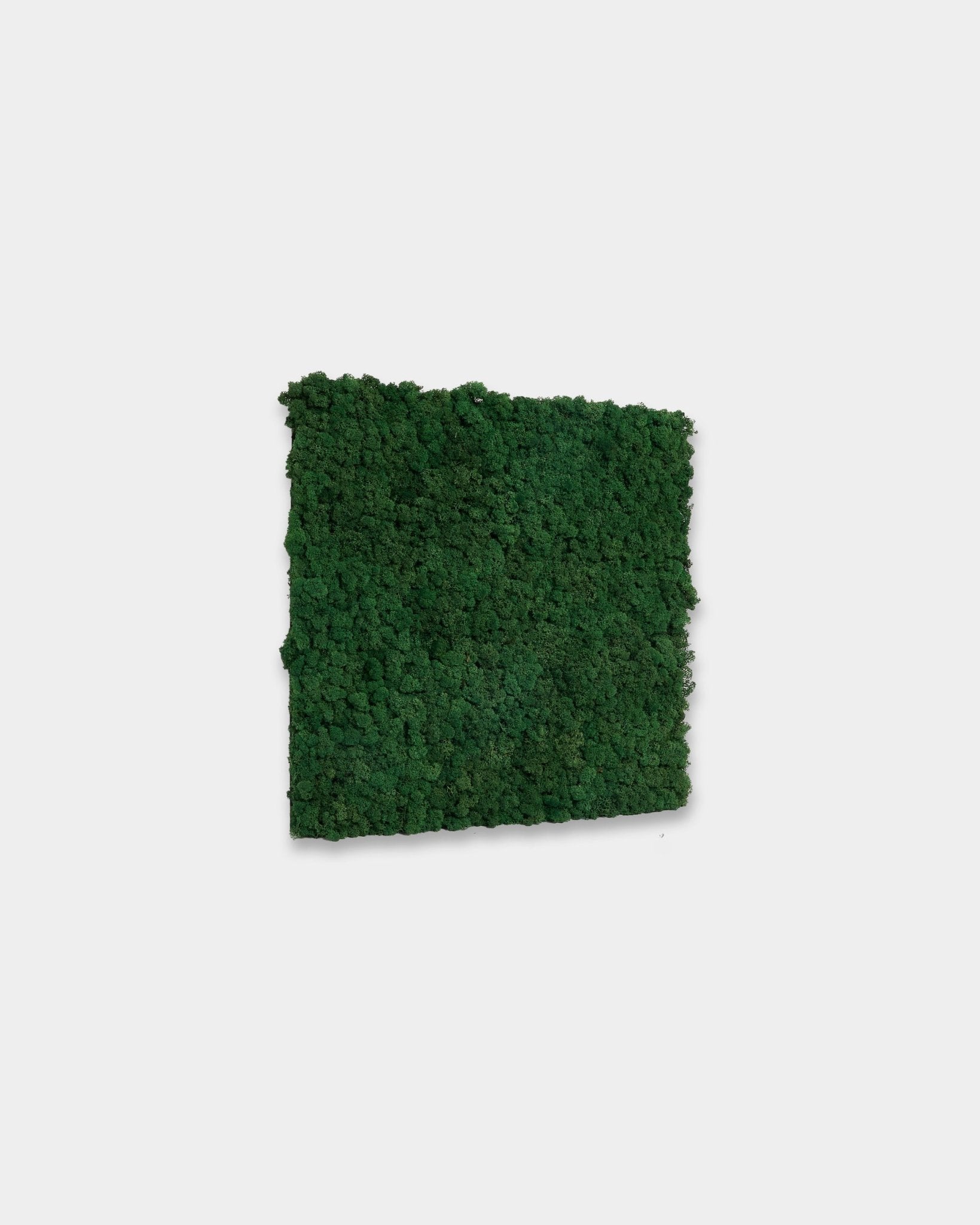 WoodUpp Akupixel Moss Green Pannello acustico (60 x 60 cm) nel vivace colore moss green, mostrato su uno sfondo bianco semplice.