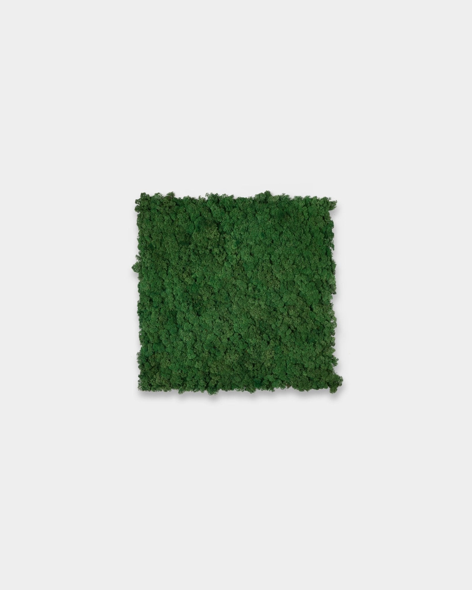 WoodUpp Akupixel Pannello acustico in Moss Green (60x60 cm), con una superficie quadrata materica su uno sfondo bianco semplice.