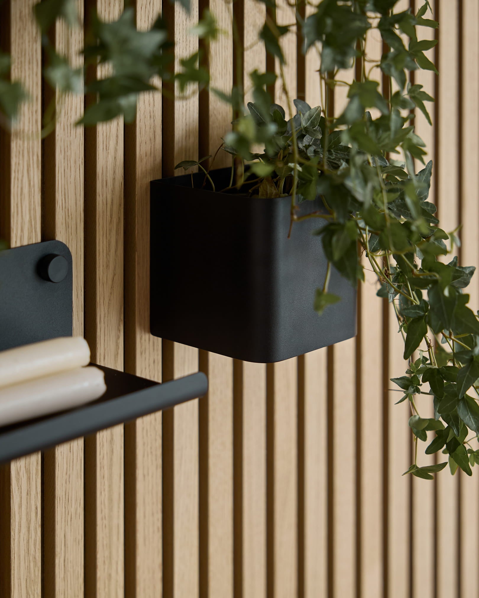 Un Plant Box WoodUpp Norr da 11,9 cm black, con edera verde, è appeso a un pannello in legno chiaro Akupanel Pannello acustico; si vede anche parte di una mensola coordinata con fogli arrotolati.
