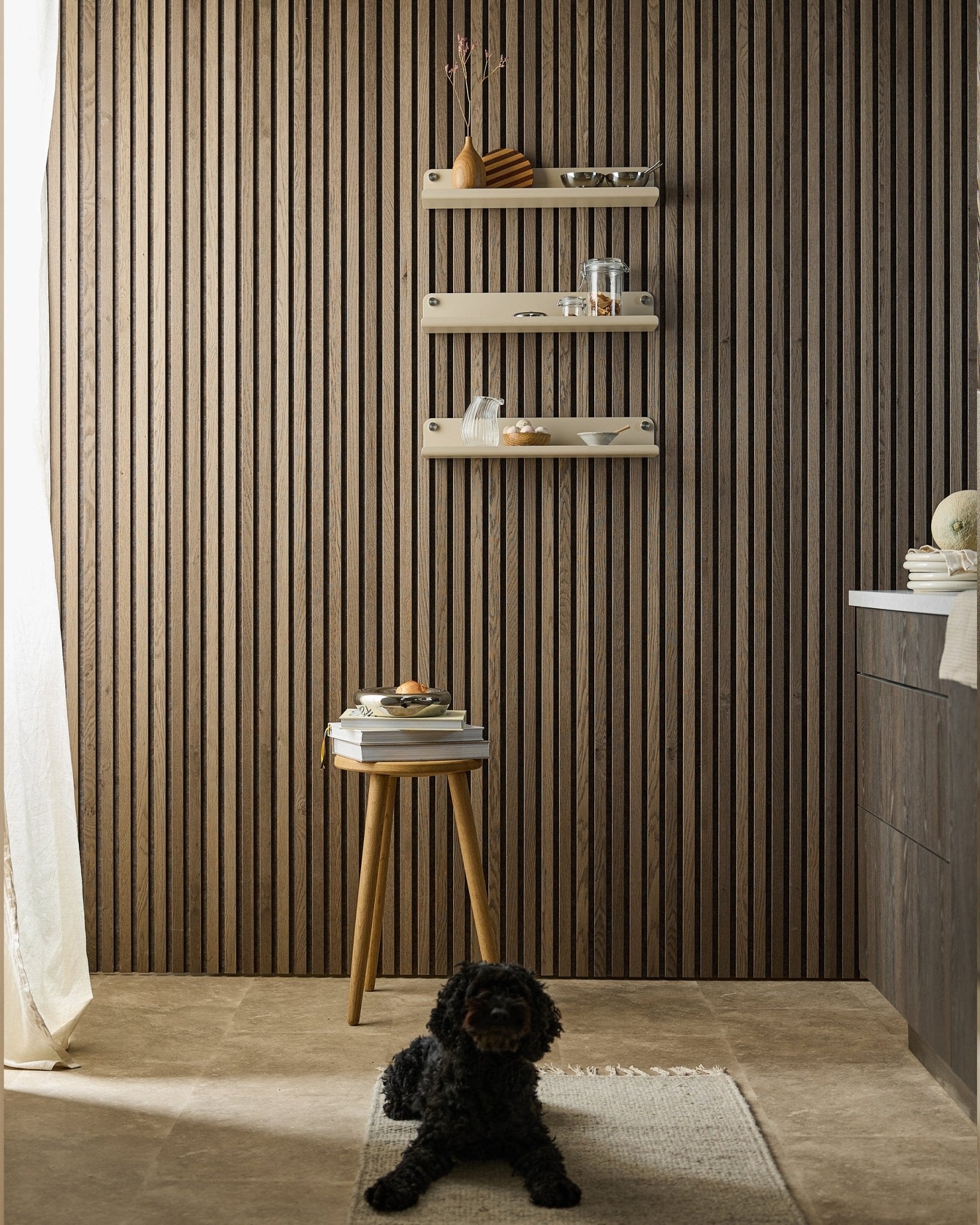 Un cane black è sdraiato su un tappeto in una stanza moderna con una parete Akupanel Pannello acustico, la beige WoodUpp Norr Wide Shelf (51,9 cm), uno sgabello con libri e una luce soffusa.