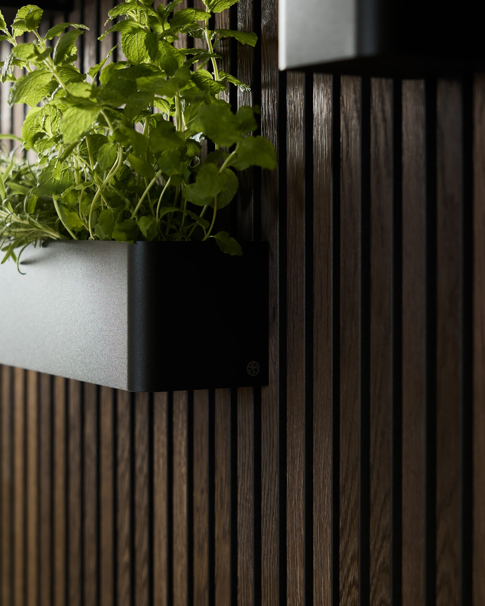 Plant Box WoodUpp Black Norr (47,9 cm) in acciaio inox steel, progettata per pareti verdi montate su pannelli acustici in legno scuro a doghe.
