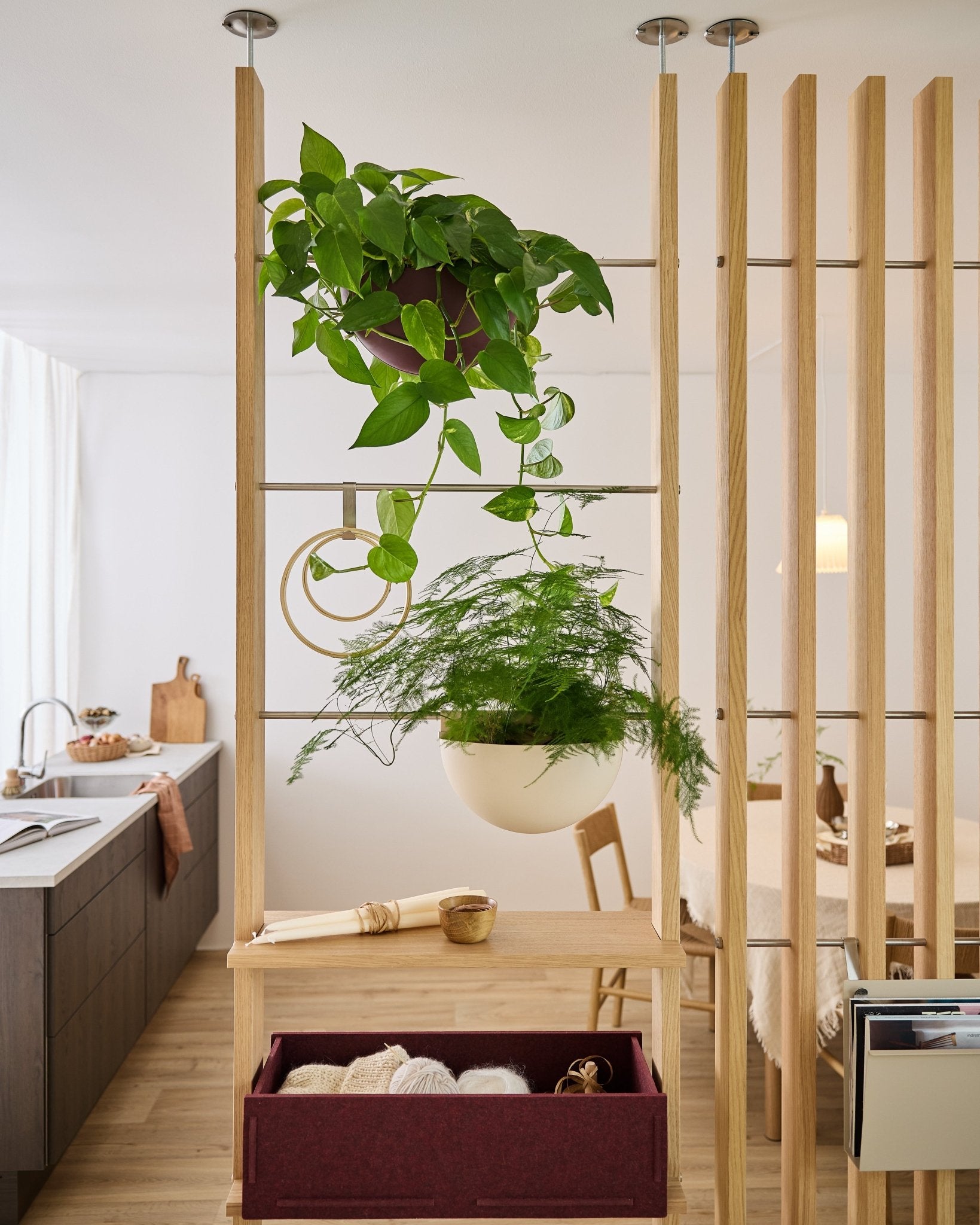 Il divisorio WoodUpp Gro Soft Pocket, con la scatola BM2 Ox Red e due piante sospese, separa la cucina dalla zona pranzo in un appartamento luminoso e moderno.