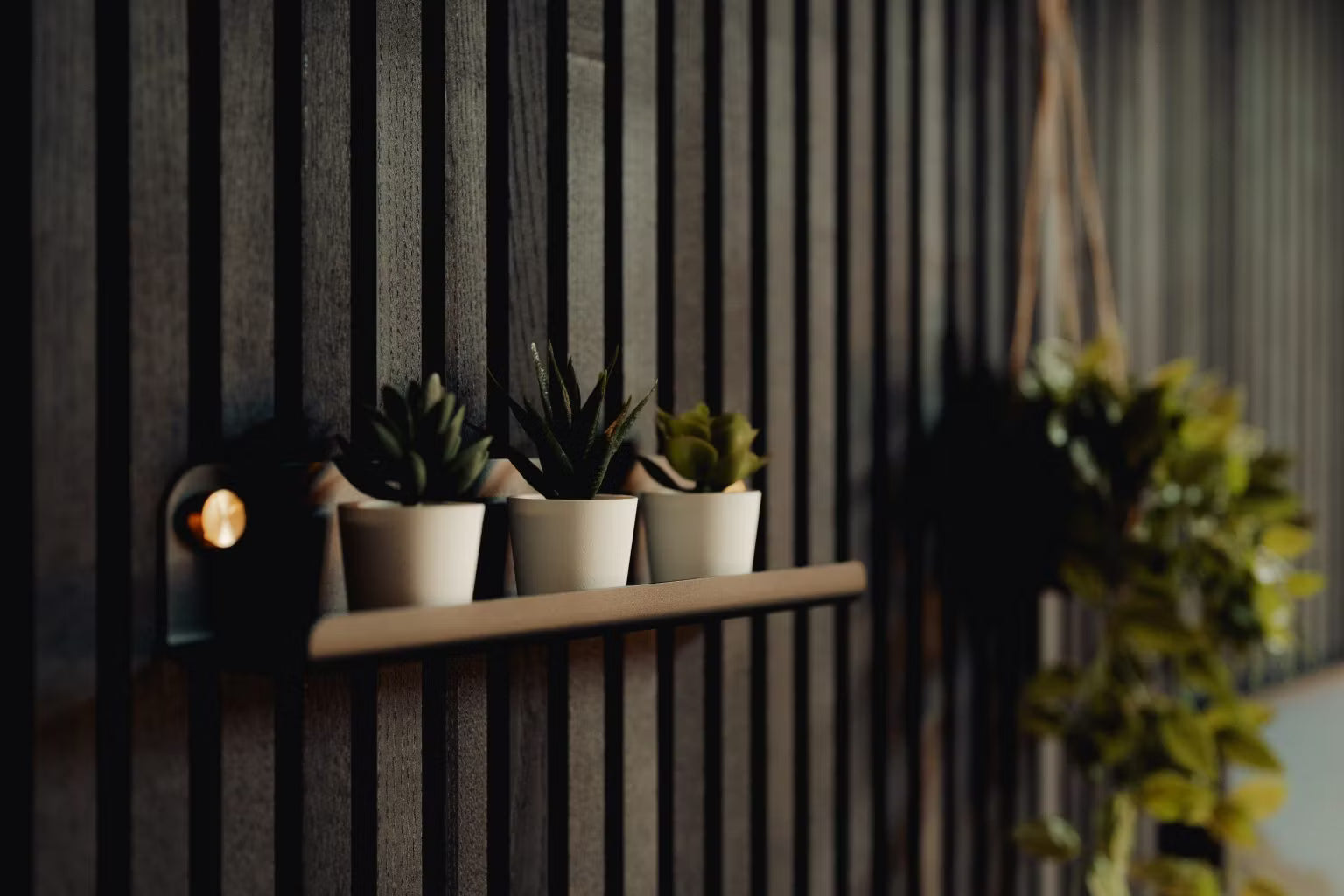 Tre piccole piante grasse in vaso su una mensola galleggiante montata su una parete scura in legno acustico Akupanel in stile nordico, con una vegetazione sospesa sfocata sullo sfondo.